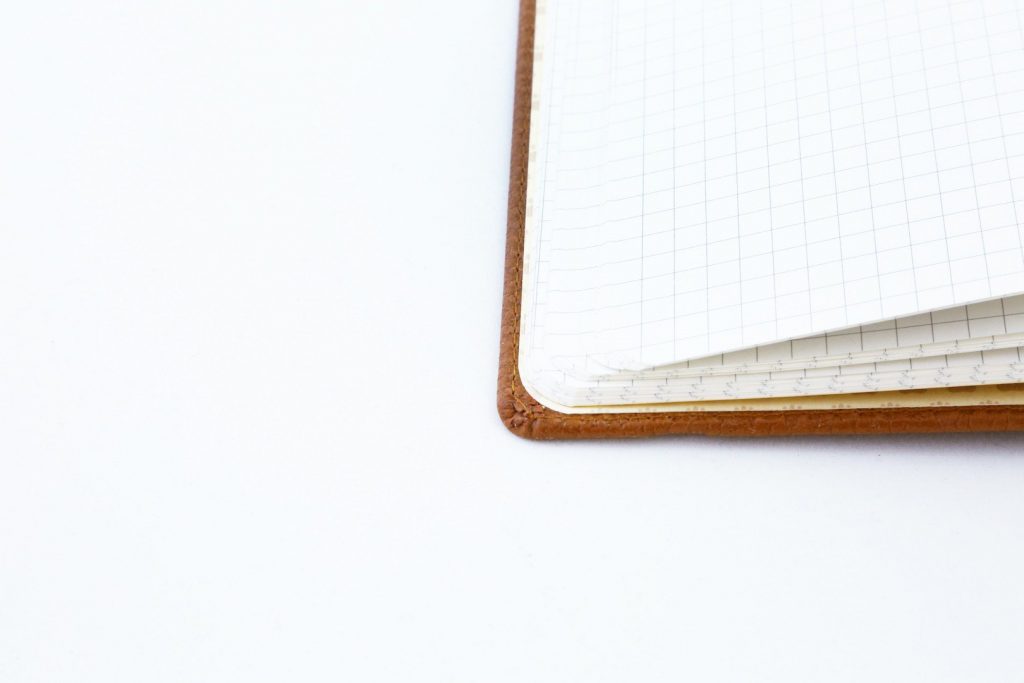 Dingbats* A5+ Wildlife Brown Bear Notebook Lined