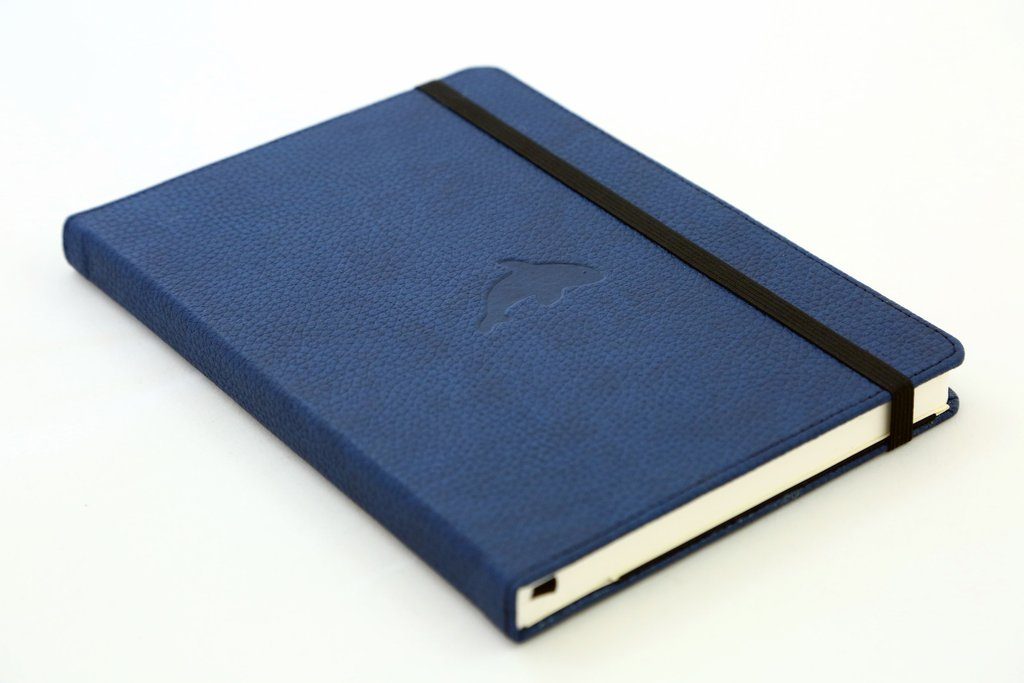 Dingbats* A5+ Wildlife Blue Whale Notebook Plain