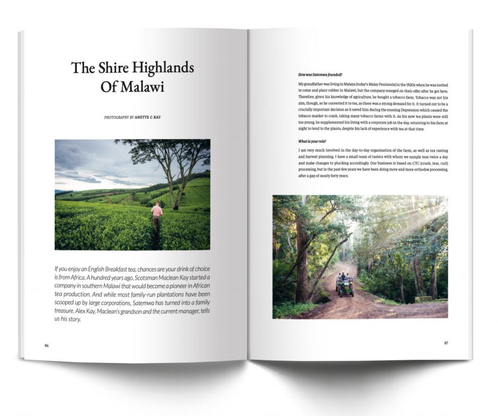 eighty degrees, Issue Three