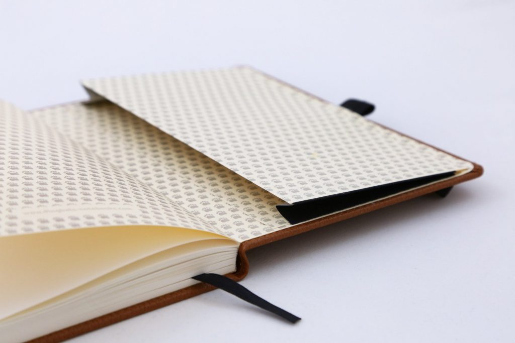 Dingbats* A5+ Wildlife Brown Bear Notebook Lined