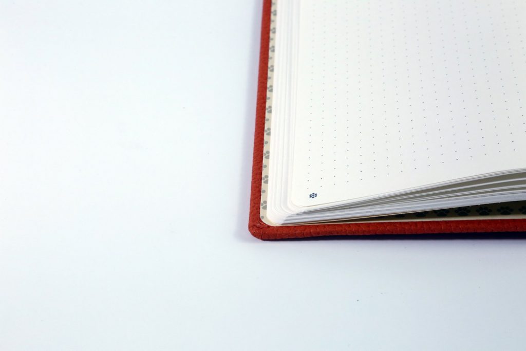 Dingbats* A5+ Wildlife Orange Tiger Notebook Plain