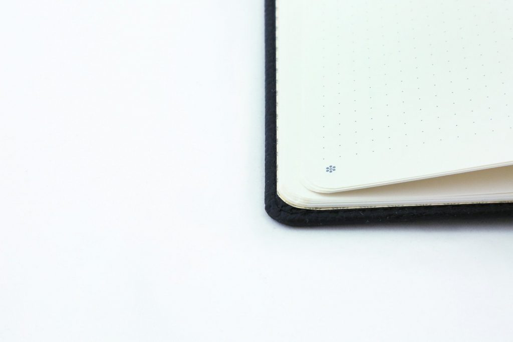 Dingbats* A5+ Wildlife Black Duck Notebook Plain