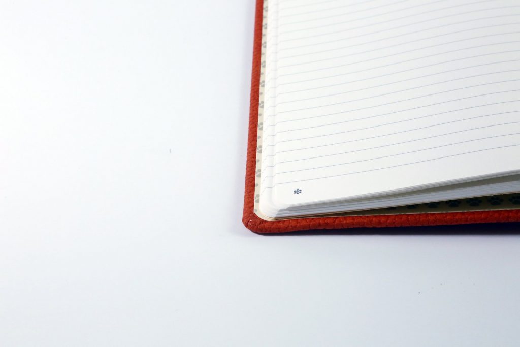 Dingbats* A5+ Wildlife Orange Tiger Notebook Plain