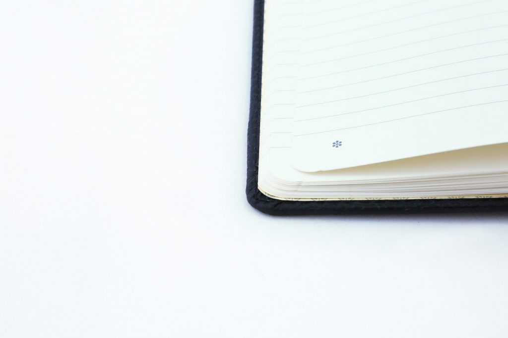 Dingbats* A5+ Wildlife Black Duck Notebook Plain