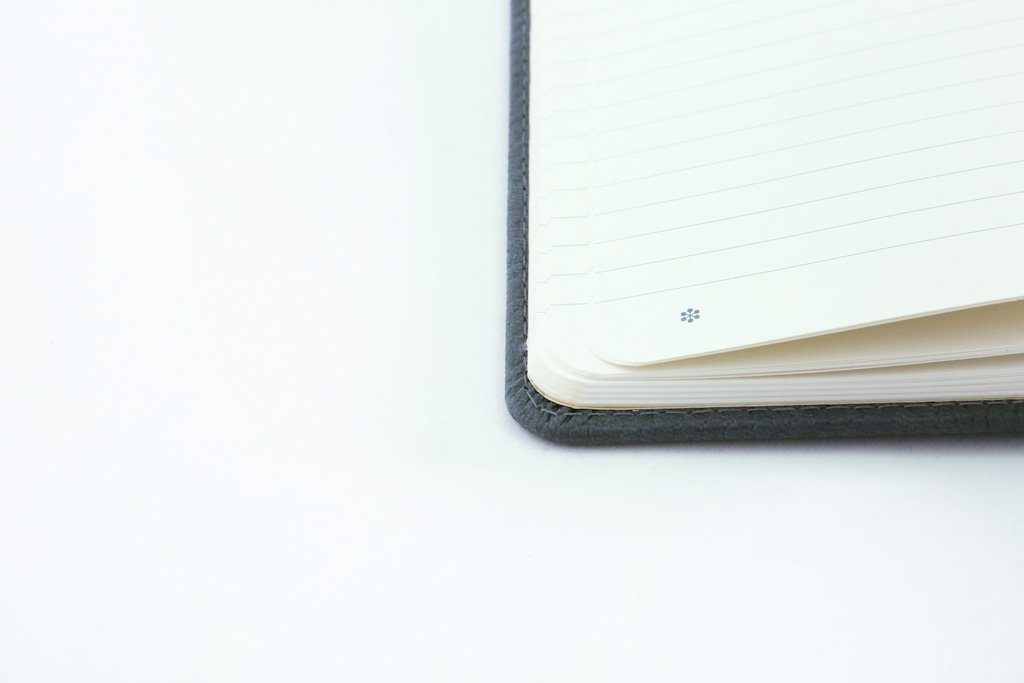 Dingbats* A5+ Wildlife Grey Elephant Notebook Dotted