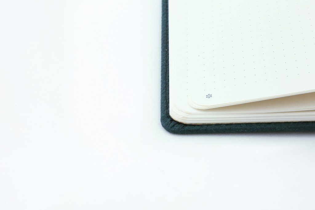 Dingbats* A5+ Wildlife Green Deer Notebook Plain