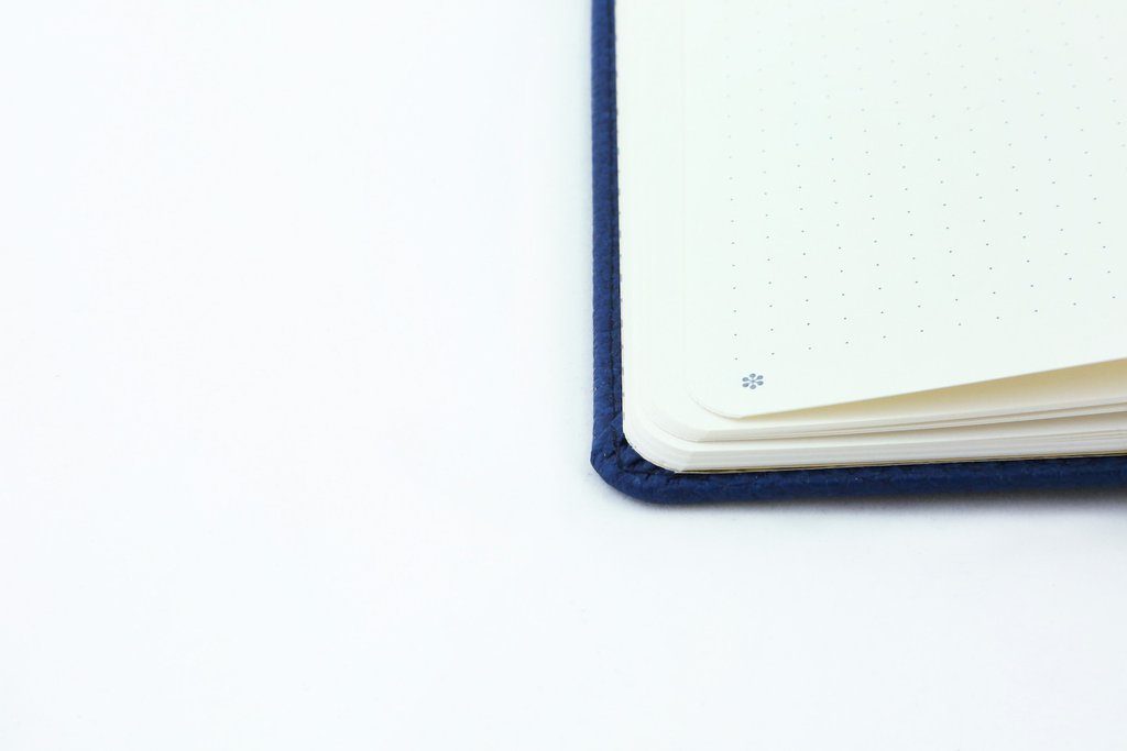 Dingbats* A5+ Wildlife Blue Whale Notebook Plain