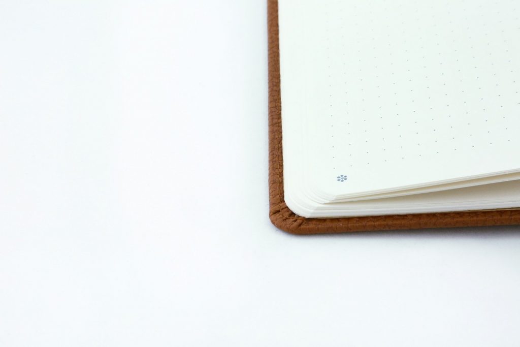 Dingbats* A5+ Wildlife Brown Bear Notebook Lined