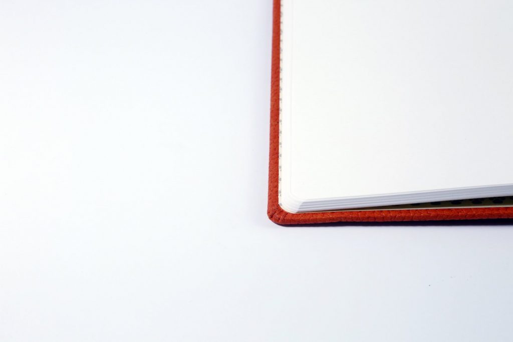 Dingbats* A5+ Wildlife Orange Tiger Notebook Plain