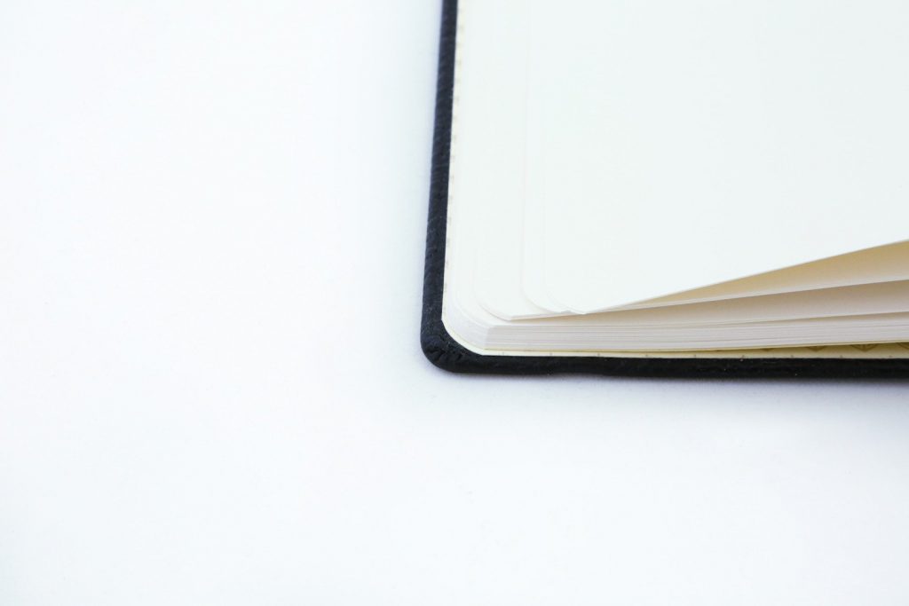 Dingbats* A5+ Wildlife Black Duck Notebook Plain