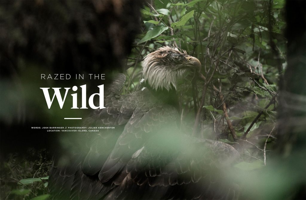 Sidetracked, Volume Thirteen