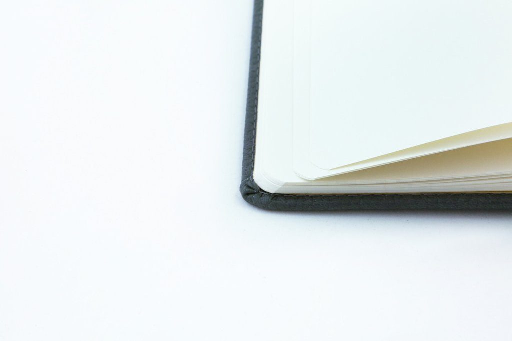 Dingbats* A5+ Wildlife Grey Elephant Notebook Dotted