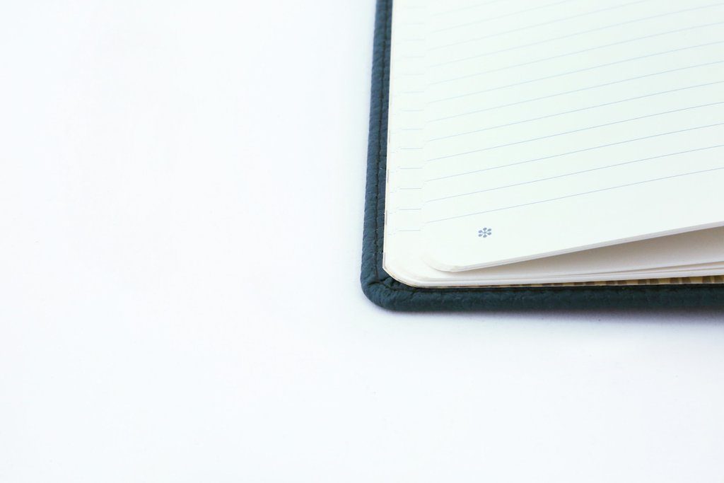 Dingbats* A5+ Wildlife Green Deer Notebook Plain