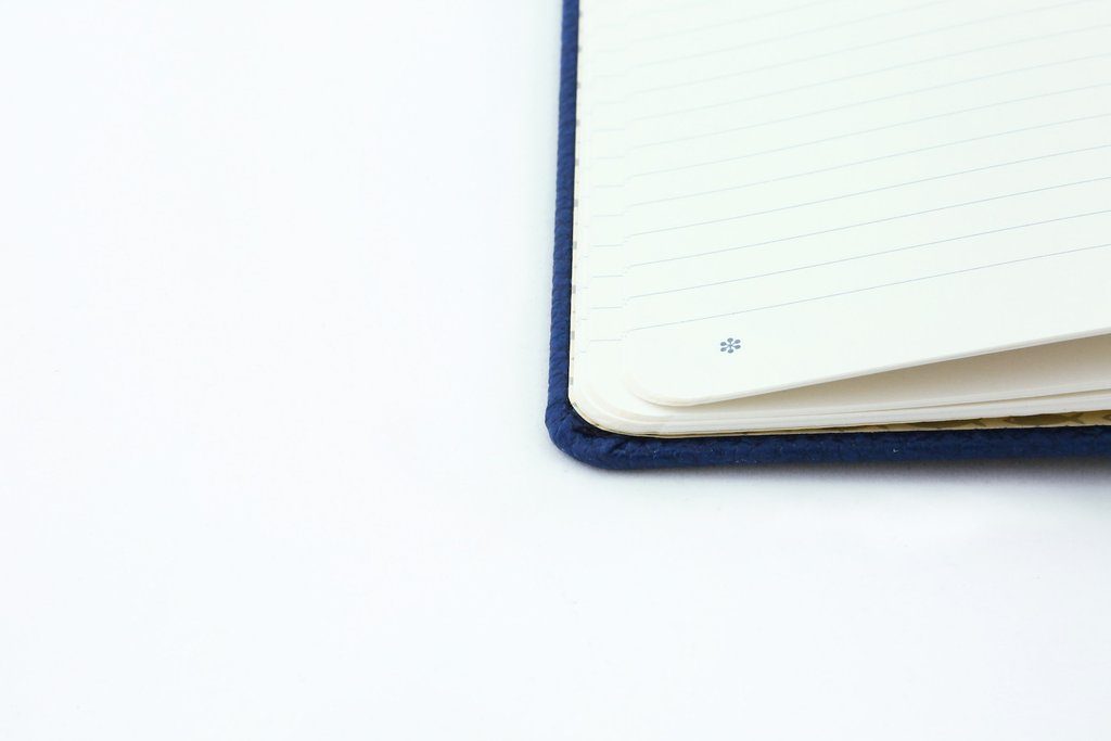 Dingbats* A5+ Wildlife Blue Whale Notebook Plain