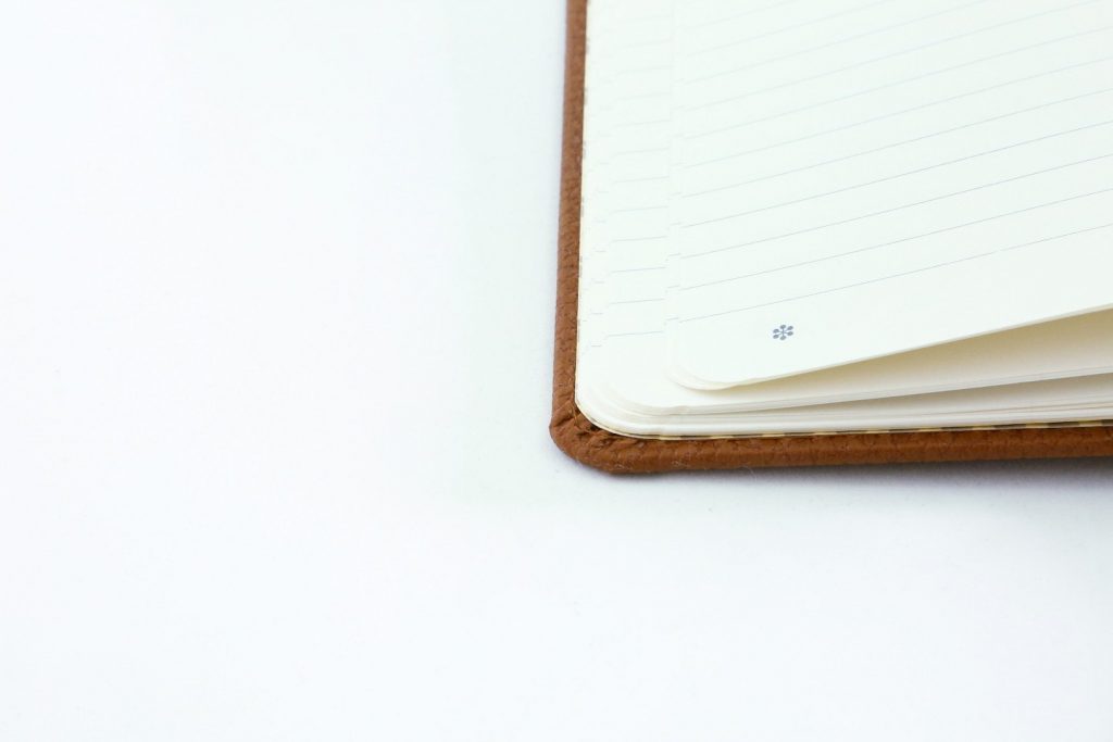 Dingbats* A5+ Wildlife Brown Bear Notebook Lined