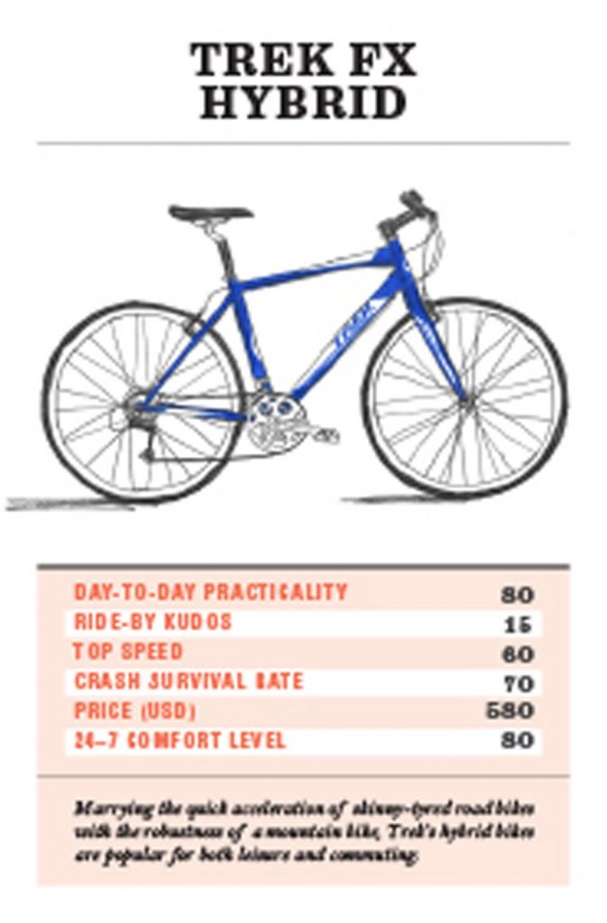 Battle of the Bikes : A Trump Card Game