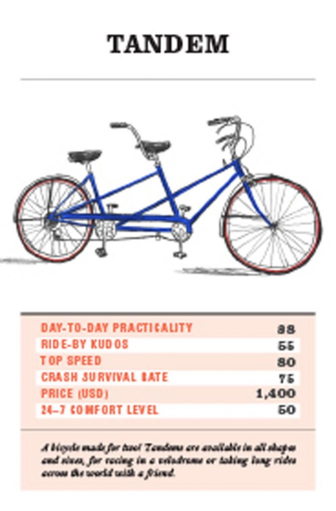 Battle of the Bikes : A Trump Card Game
