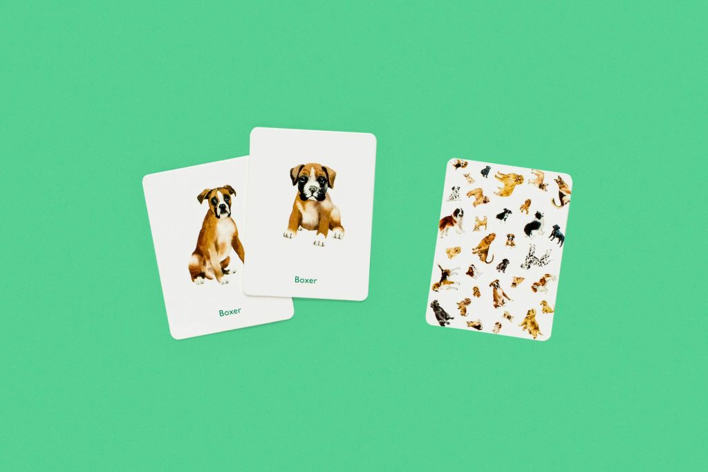 Dogs & Puppies: A Memory Game