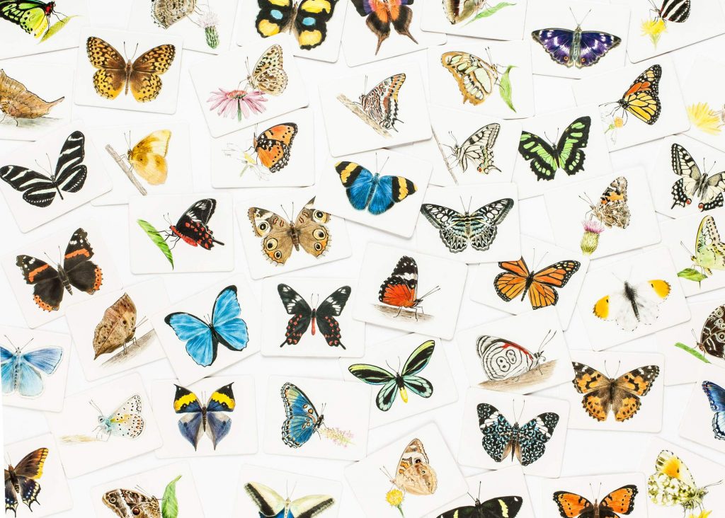 Butterfly Wings: A Matching Game