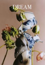 Dream #4