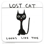 David Shrigley Coaster - Lost Cat