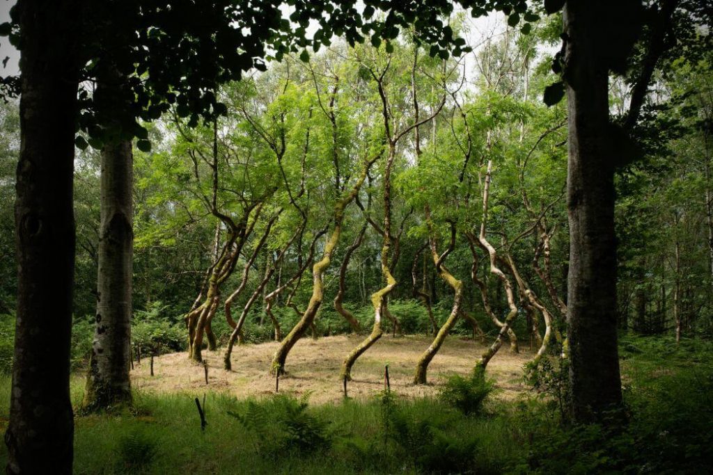 Ernest Journal, Issue 9