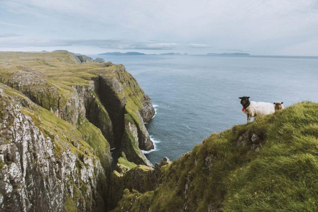 Ernest Journal, Issue 9