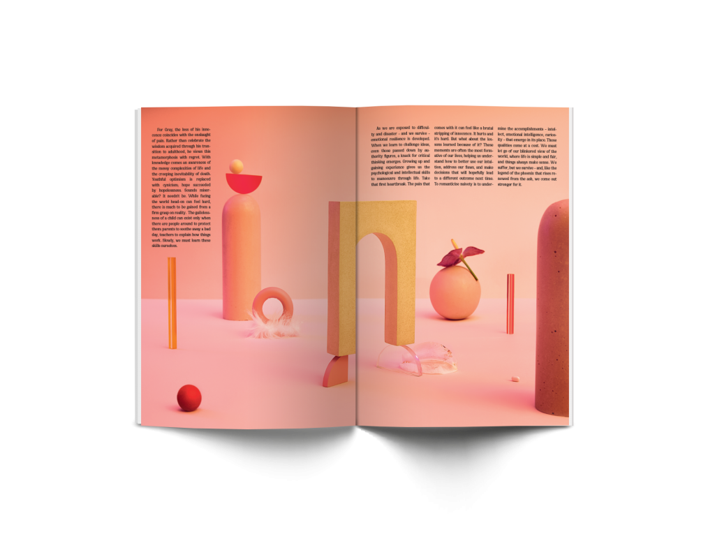 Sindroms, Issue #4: Pink