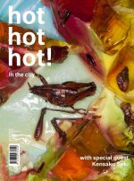 hot hot hot!, Issue 2