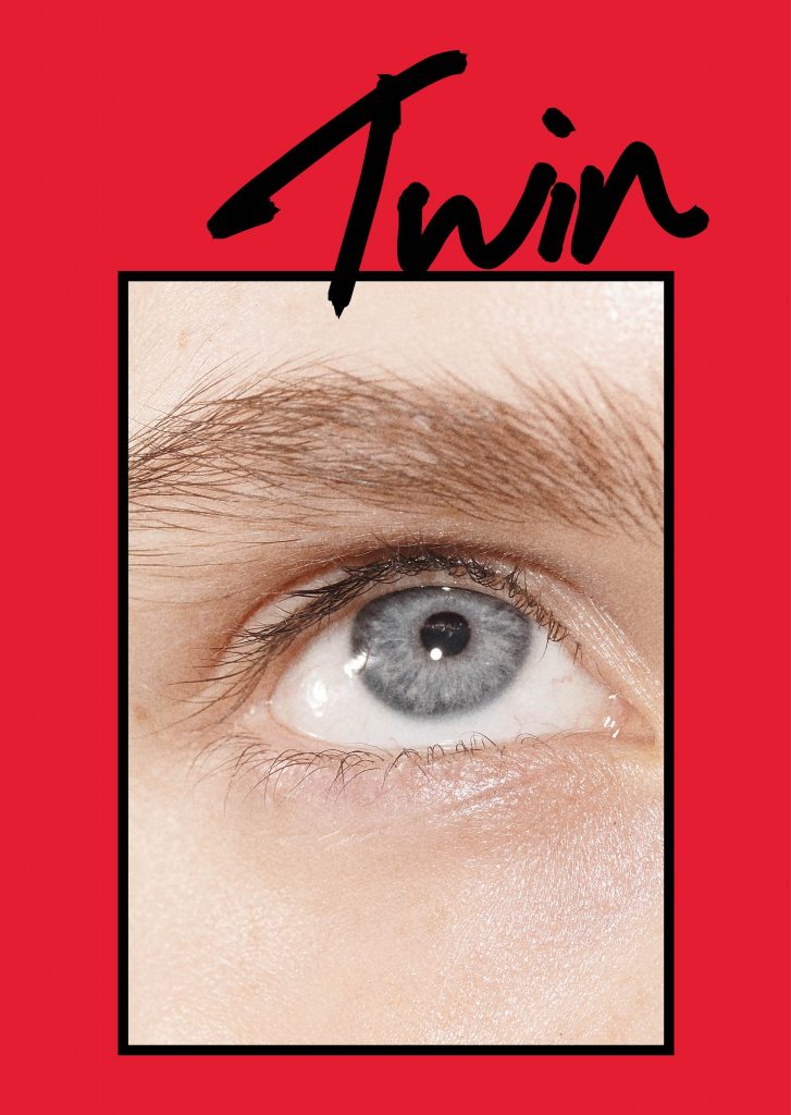 Twin, Issue 21