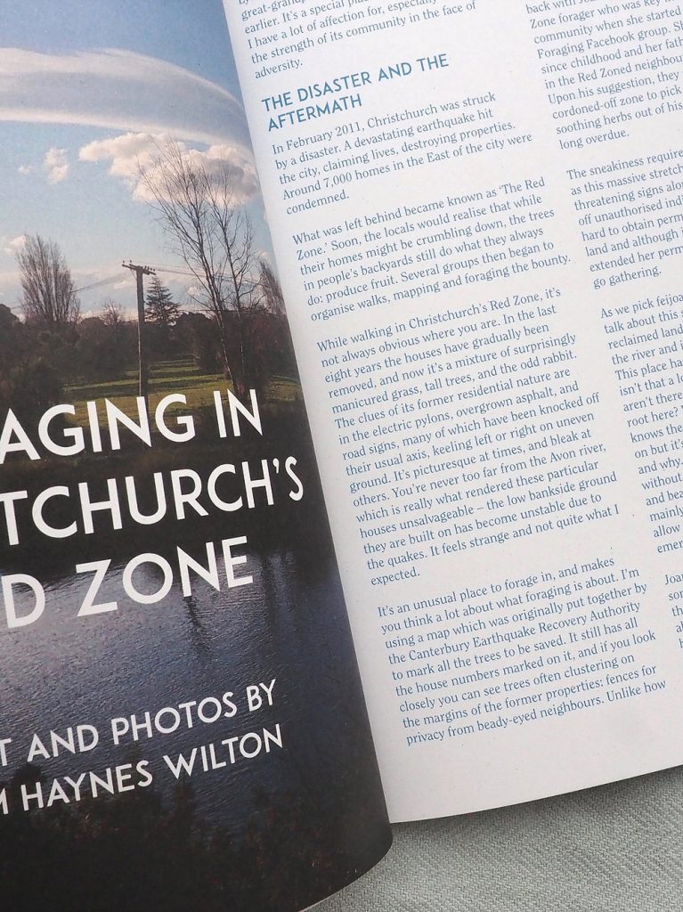 The Preserve Journal, Issue 2