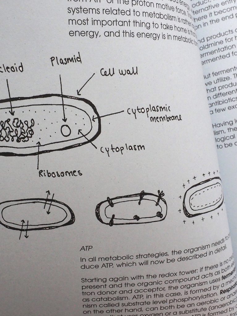 The Preserve Journal, Issue 2