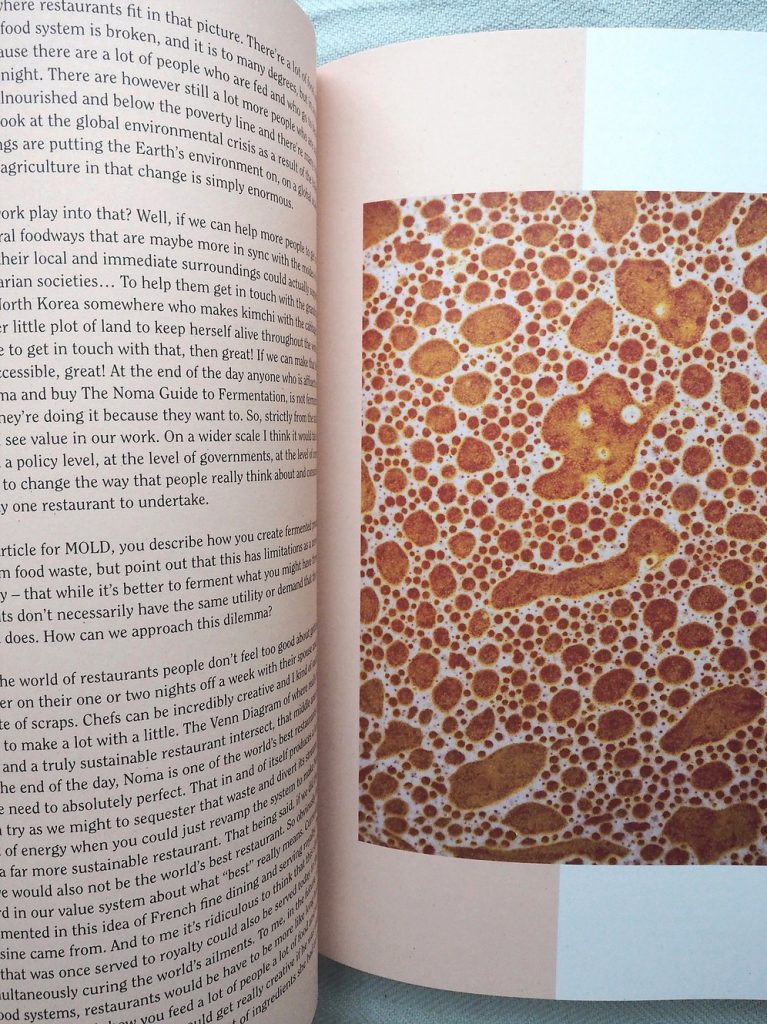 The Preserve Journal, Issue 2