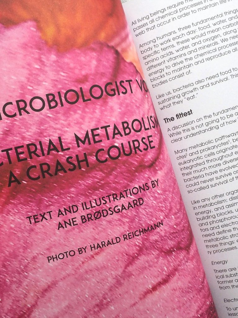 The Preserve Journal, Issue 2