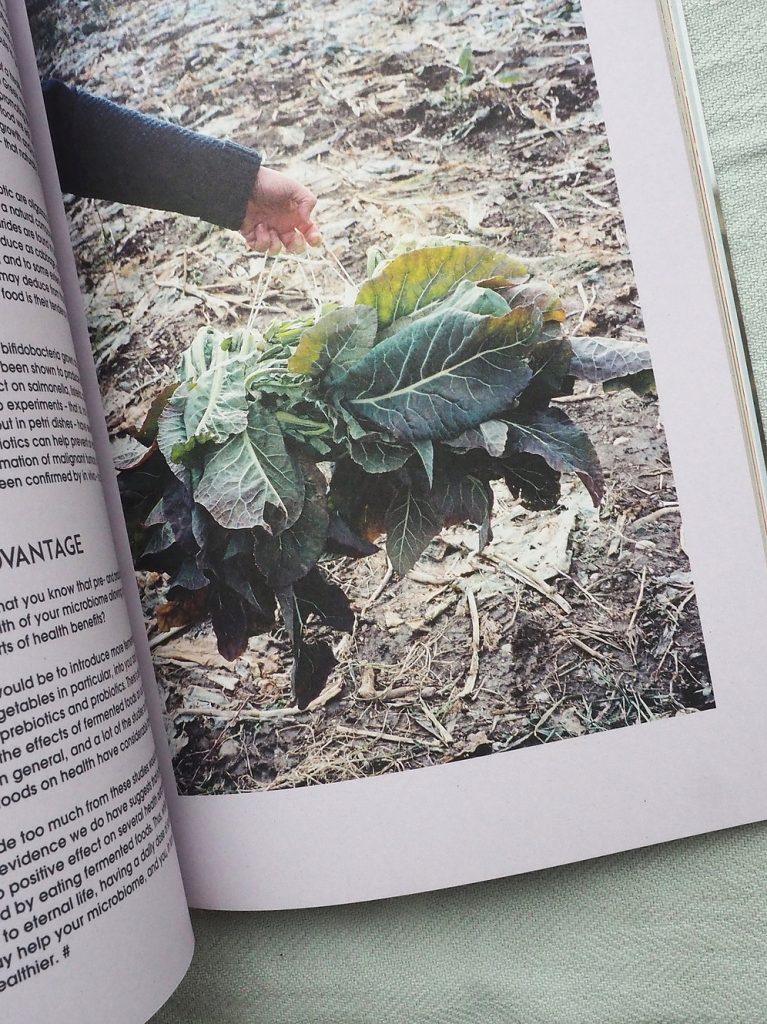 The Preserve Journal, Issue 2