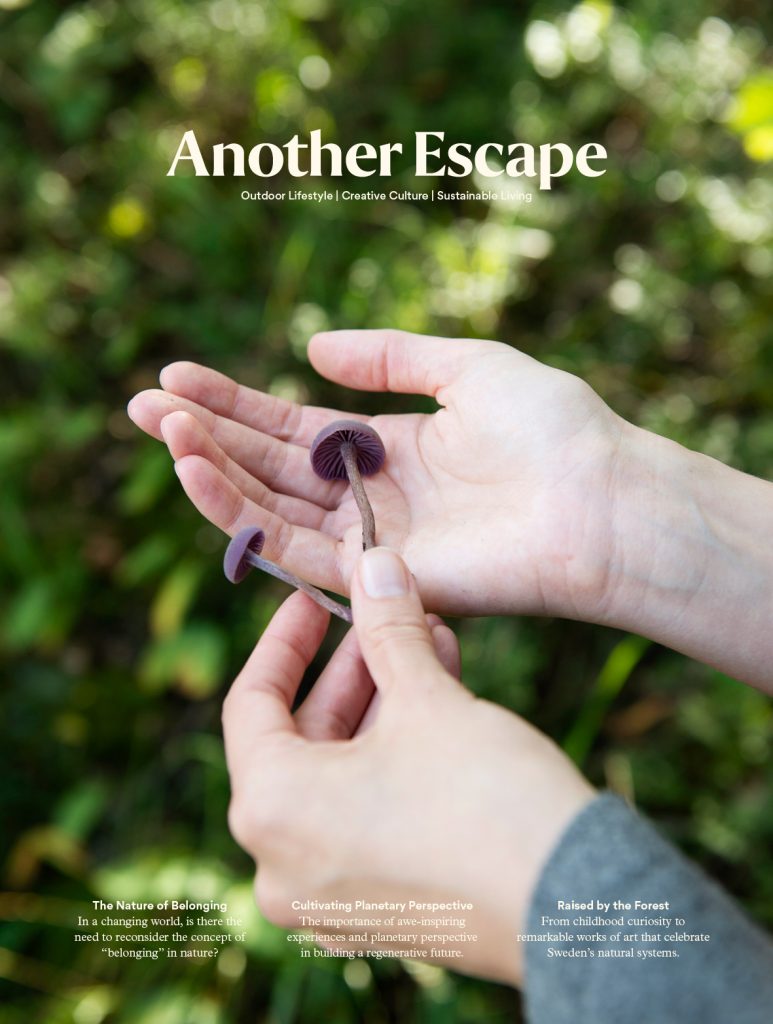 Another Escape, Vol.13 – The Belonging Volume