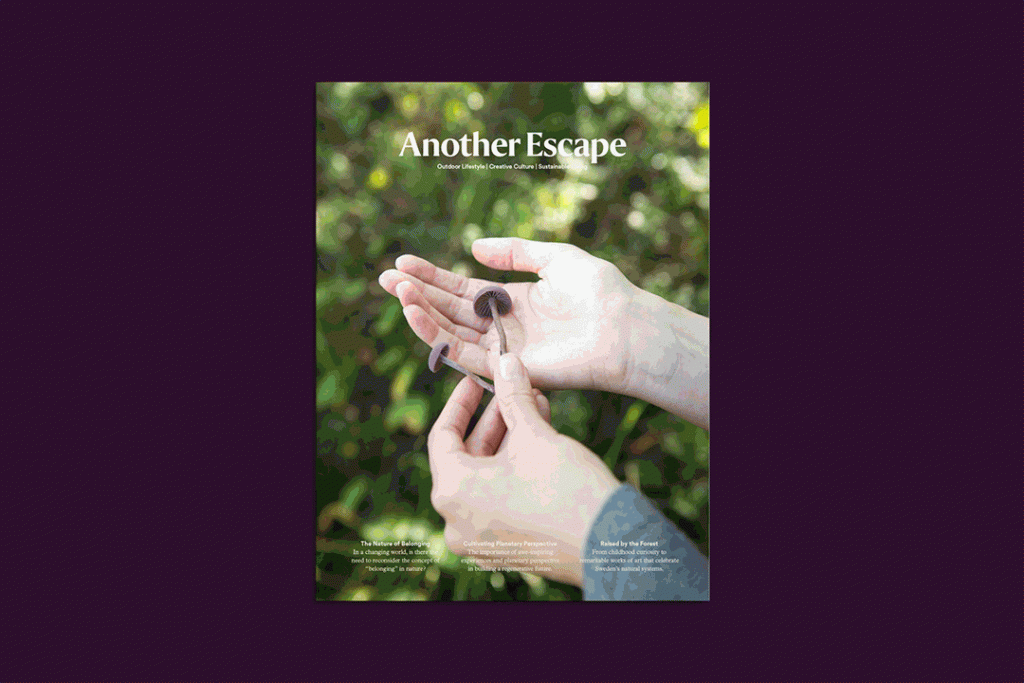 Another Escape, Vol.13 – The Belonging Volume