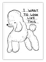 David Shrigley A6 Notebook - Want To Look Like This