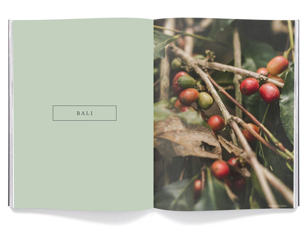 Drift, Issue 9 – Bali
