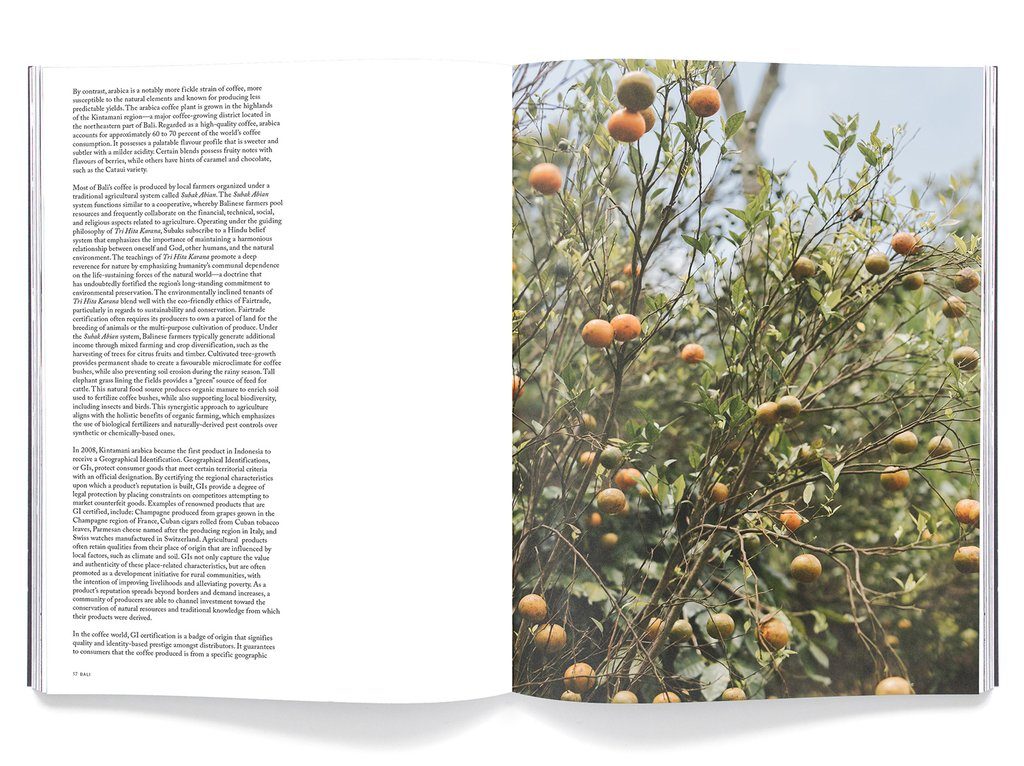 Drift, Issue 9 – Bali