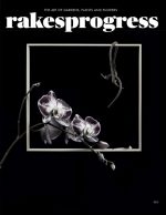 rakesprogress, Issue 10