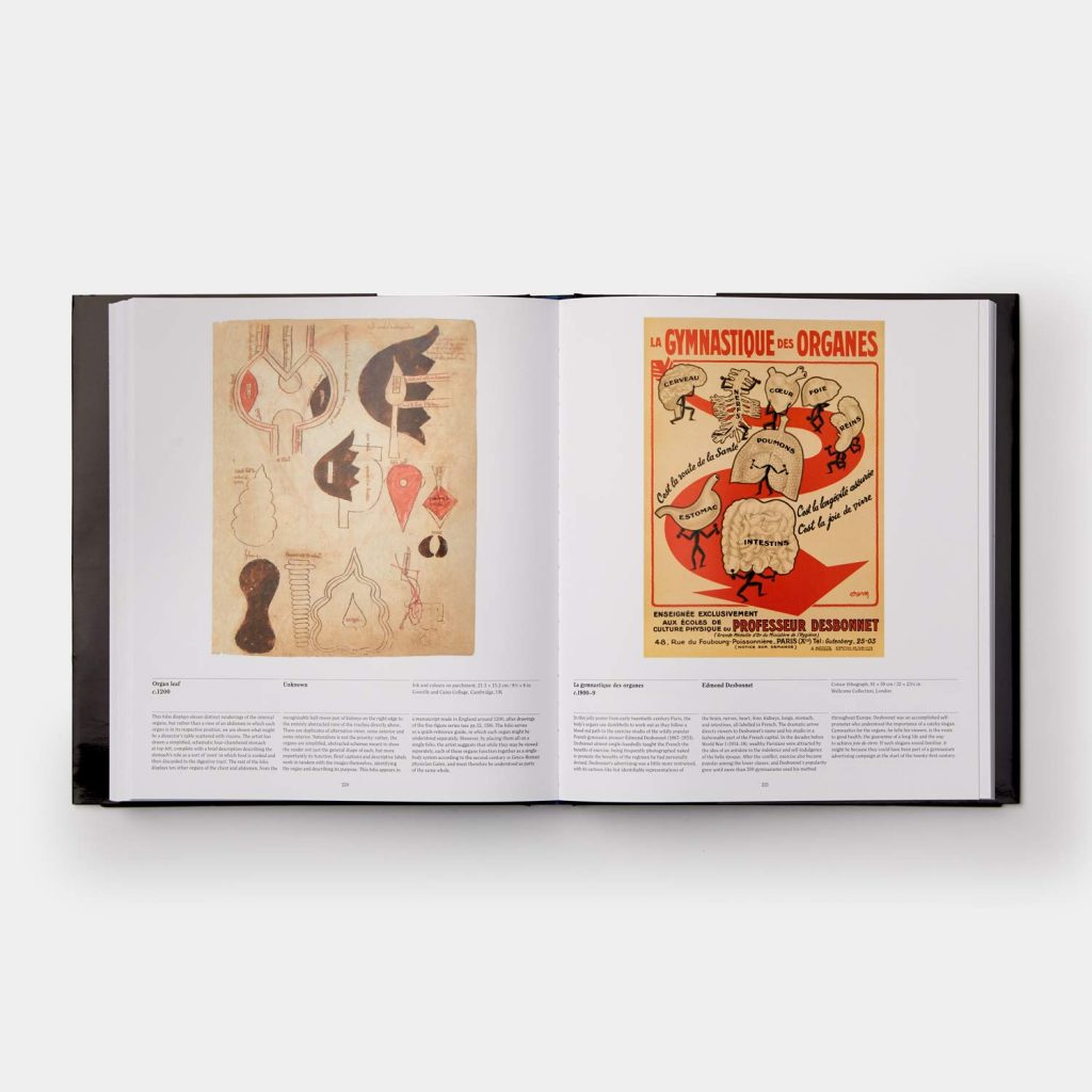 Anatomy: Exploring the Human Body