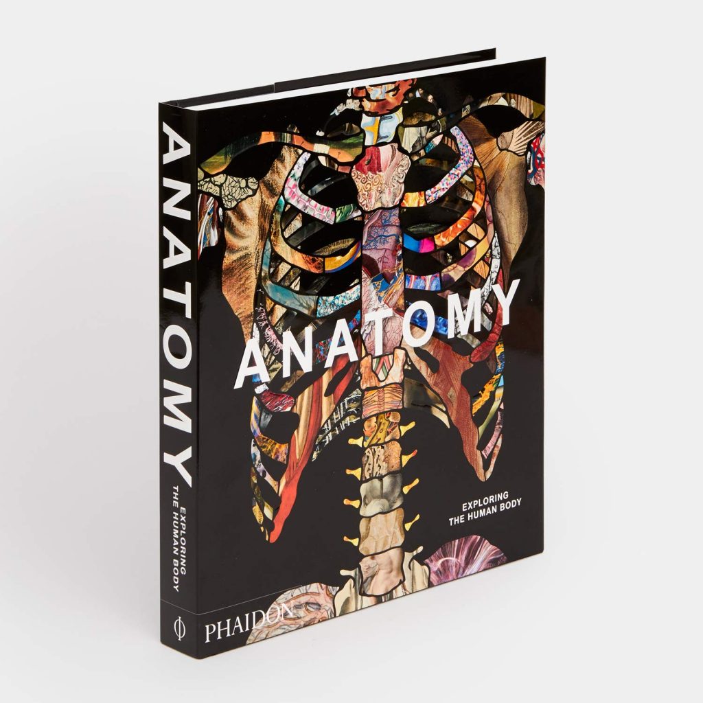 Anatomy: Exploring the Human Body
