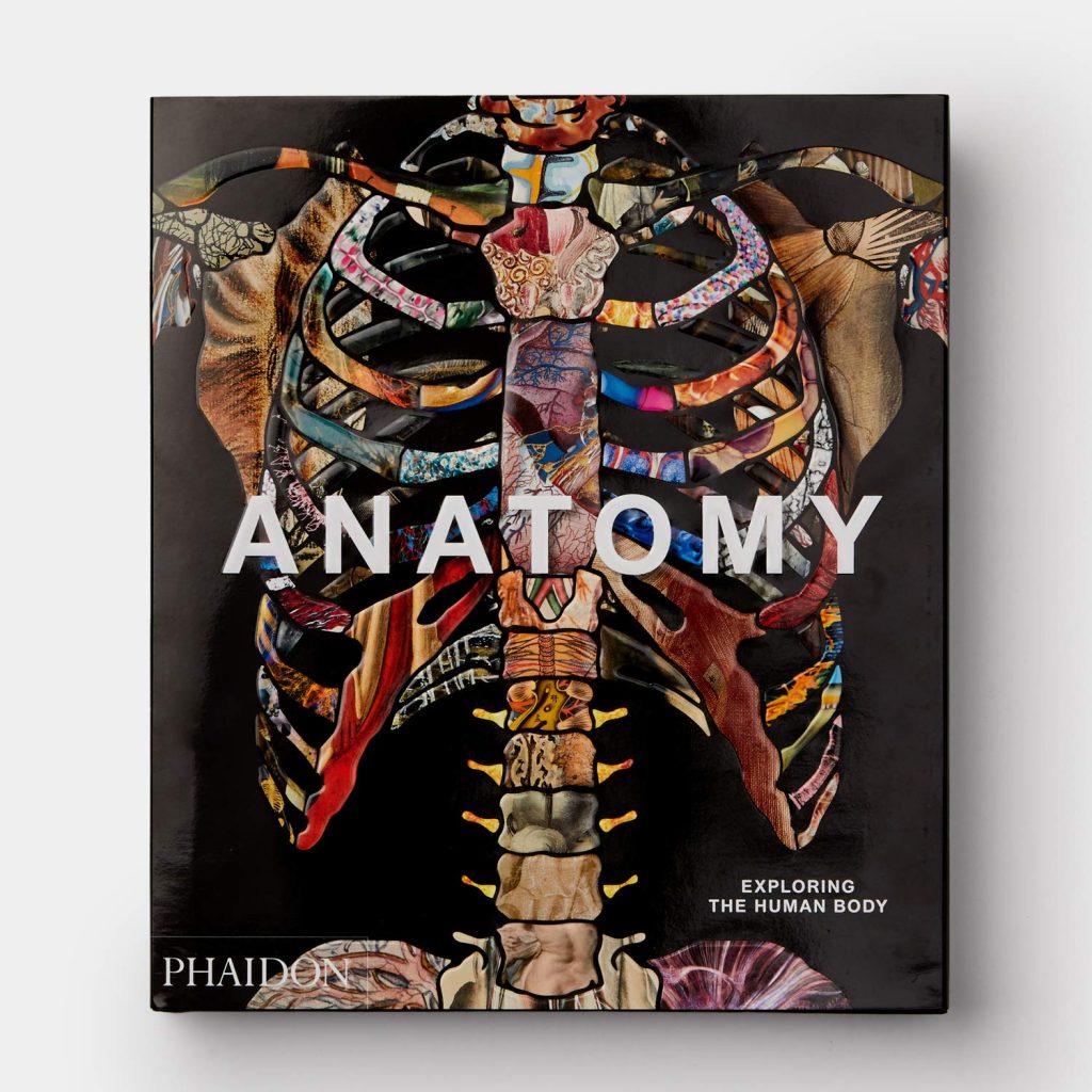 Anatomy: Exploring the Human Body