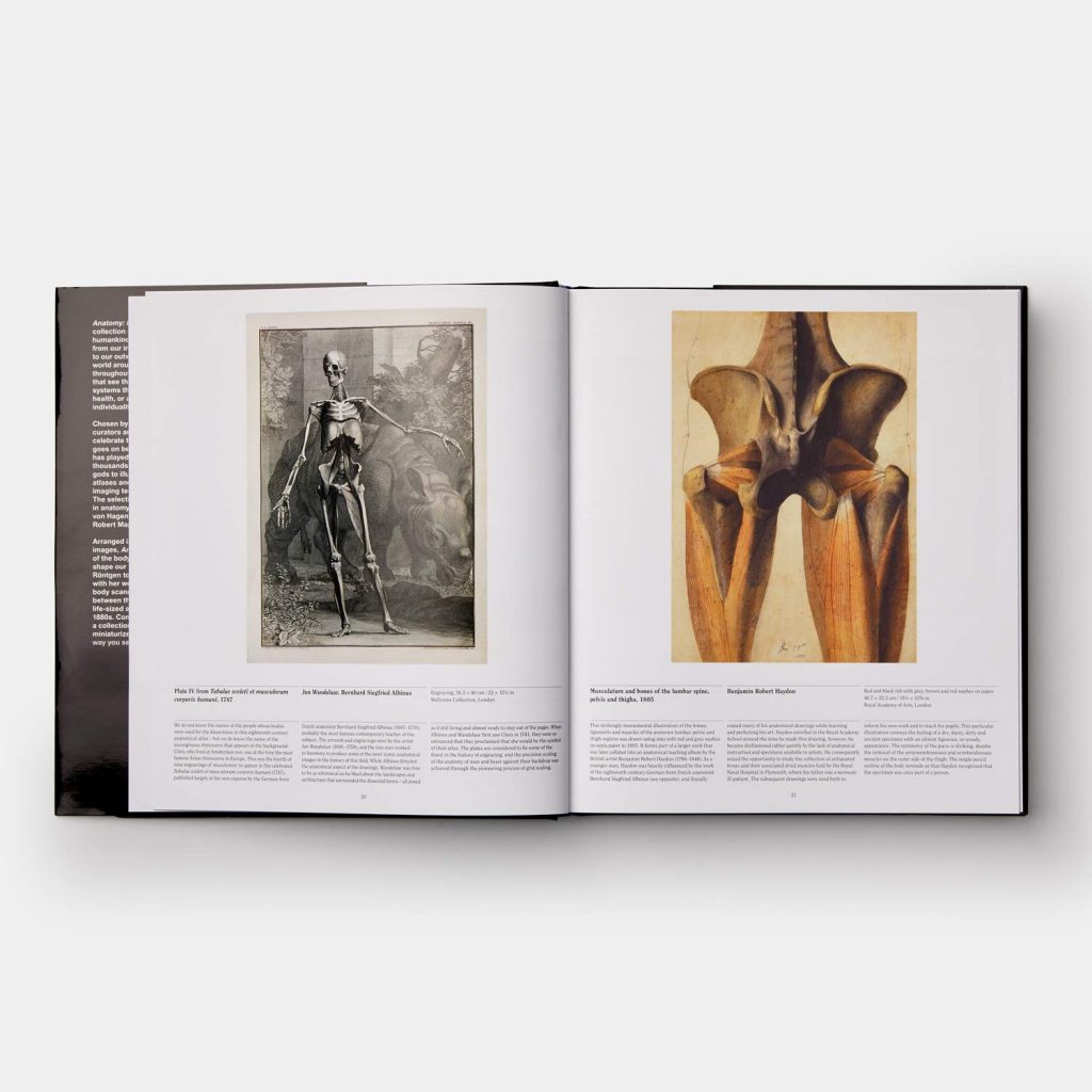 Anatomy: Exploring the Human Body