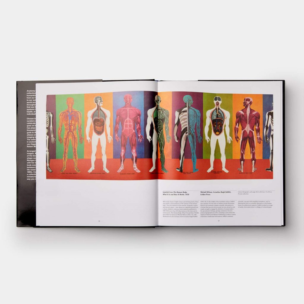 Anatomy: Exploring the Human Body