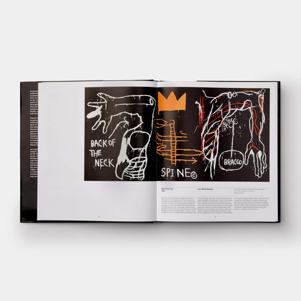 Anatomy: Exploring the Human Body