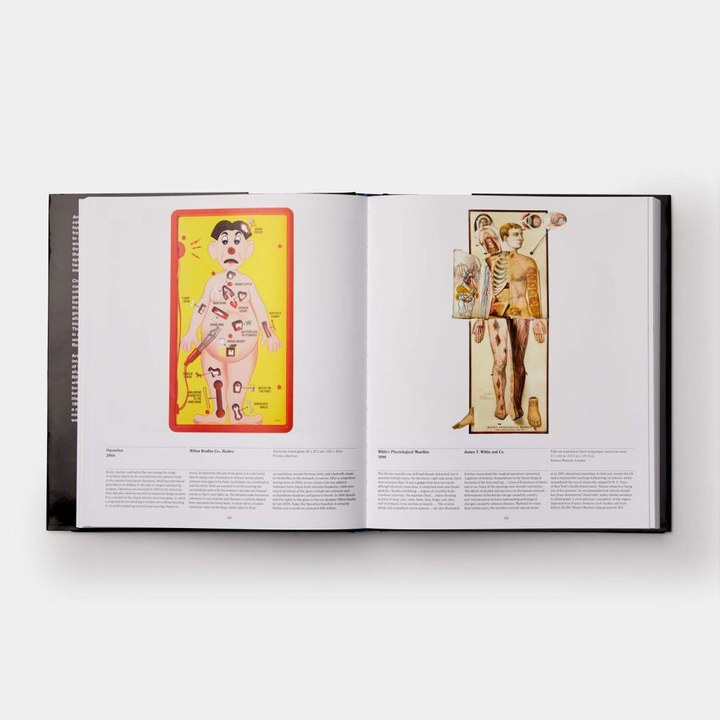 Anatomy: Exploring the Human Body