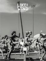 Like The Wind, Issue 22