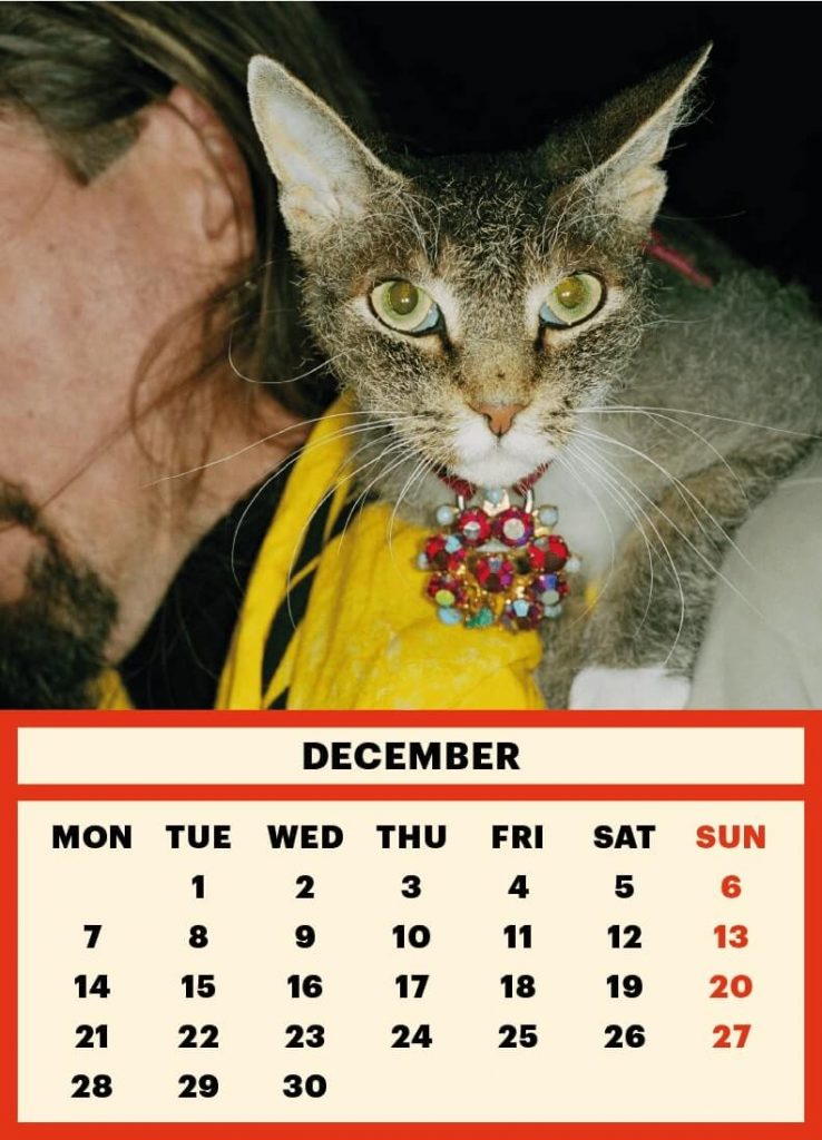 ToiletMartin PaperParr Calendar 2020
